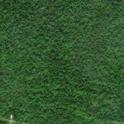 Satellite imagery of C C6M 090 — NGS RJ1317 — Sugar Island Township, US, US