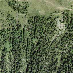 Satellite imagery of Mot di Curt, CH