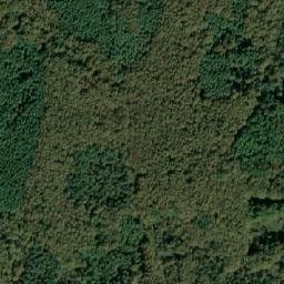 Satellite imagery of 229, IT