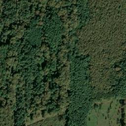 Satellite imagery of 229, IT