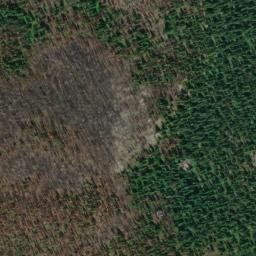 Satellite imagery of Cedar Ridge, US
