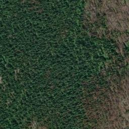 Satellite imagery of Cedar Ridge, US