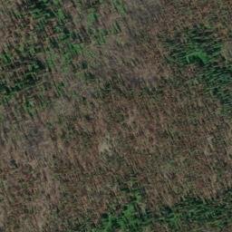 Satellite imagery of Cedar Ridge, US