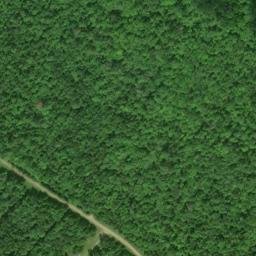 Satellite imagery of 53 C6M 124 — NGS RJ1293 — Sugar Island Township, US, US