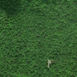 Satellite imagery of 254 — NGS RJ0211 — Sugar Island Township, US, US