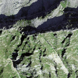 Satellite imagery of Sasso Rosso, CH