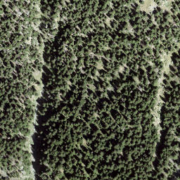 Satellite imagery of I Mot, CH