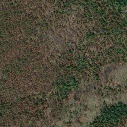 Satellite imagery of Cedar Ridge, US
