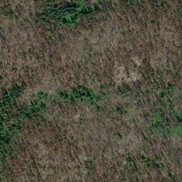Satellite imagery of Cedar Ridge, US