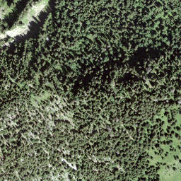 Satellite imagery of Le Planellet, CH