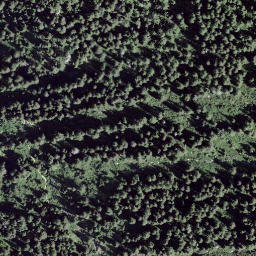 Satellite imagery of Motta del Perdül, CH