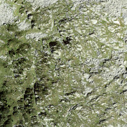 Satellite imagery of Lan Furcelina, CH