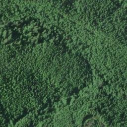 Satellite imagery of Naselle Ridge, US