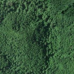 Satellite imagery of Naselle Ridge, US