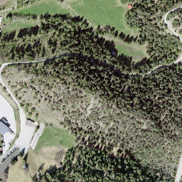 Satellite imagery of Burgspitz, CH