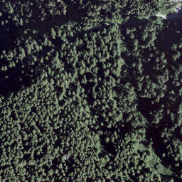 Satellite imagery of Mottone, CH