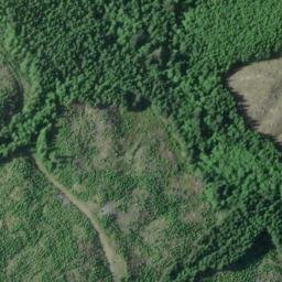 Satellite imagery of Naselle Ridge, US