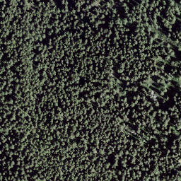 Satellite imagery of Mottone, CH