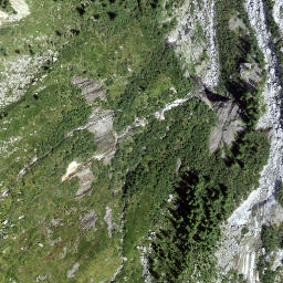 Satellite imagery of La Plota, CH
