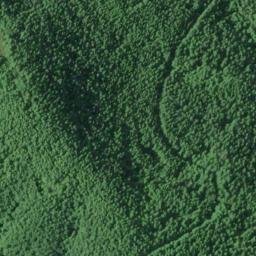 Satellite imagery of Naselle Ridge, US