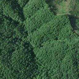 Satellite imagery of Naselle Ridge, US