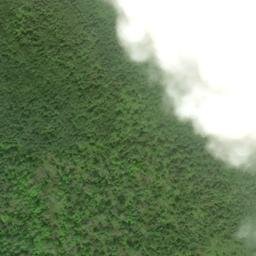 Satellite imagery of 59 NEEBISH — NGS RJ0933 — Soo Township, US, US