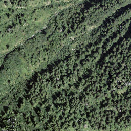 Satellite imagery of Cima di Negrös, CH