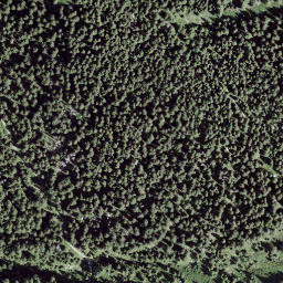 Satellite imagery of Mottone, CH