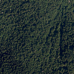 Satellite imagery of Polovnik, SI