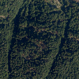 Satellite imagery of Polovnik, SI