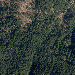 Satellite imagery of Polovnik, SI