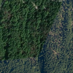 Satellite imagery of 19, IT