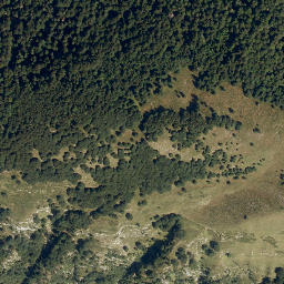 Satellite imagery of Polovnik, SI