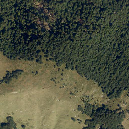 Satellite imagery of Polovnik, SI
