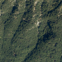 Satellite imagery of Polovnik, SI