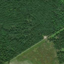Satellite imagery of 60 USLS 1878 — NGS RJ0899 — St. Joseph Township, US, US