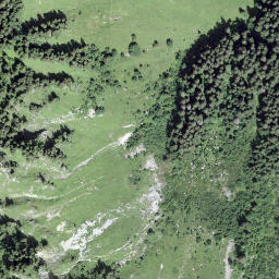 Satellite imagery of Tête du Tronchet, CH