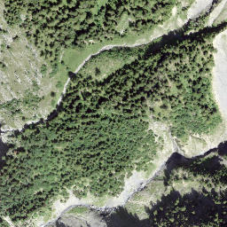 Satellite imagery of Single, CH