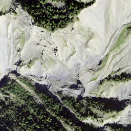 Satellite imagery of Single, CH