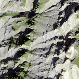 Satellite imagery of Single, CH