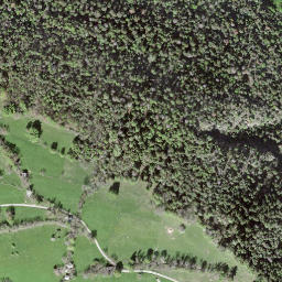 Satellite imagery of Hochastler, CH
