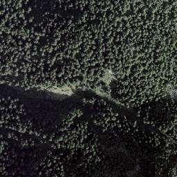 Satellite imagery of Cornasc, CH
