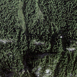 Satellite imagery of Cornasc, CH