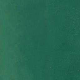 Satellite imagery of Field Point, US
