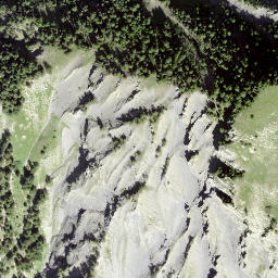 Satellite imagery of Single, CH