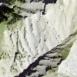 Satellite imagery of Single, CH