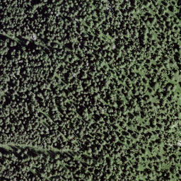 Satellite imagery of Piz di Rüss, CH