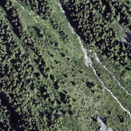 Satellite imagery of Fil Gordasc, CH