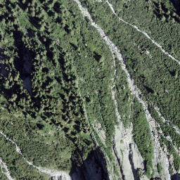 Satellite imagery of Fil Gordasc, CH