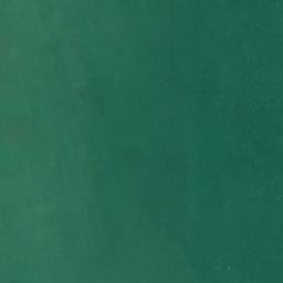 Satellite imagery of Field Point, US